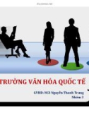 Thuyết trình kinh doanh quốc tế: Môi trường văn hóa quốc tế