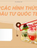 Bài thuyết trình Các hình thức đầu tư quốc tế