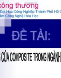 Báo cáo tiểu luận: Ứng dụng composite trong thể thao