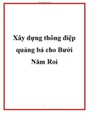 Xây dựng thông điệp quảng bá cho Bưởi Năm Roi