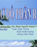 Báo cáo tiểu luận: Sơ đồ phân rã