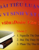 Bài tiểu luận Lên men propionic