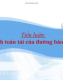 Tiểu luận: Tính toán tải của đường báo hiệu