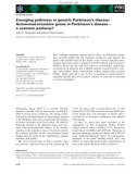 Báo cáo khoa học: Emerging pathways in genetic Parkinson's disease: Autosomal-recessive genes in Parkinson's disease – a common pathway?