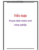 Tiểu luận: Hoạch định chính sách nông nghiệp