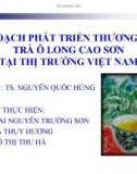 Tiểu luận: Kế hoạch phát triển thương hiệu trà Ô Long Cao Sơn tại thị trường Việt Nam