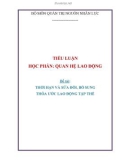 Tiểu luận Quản trị nguồn nhân lực: Thời hạn và sửa đổi, bổ sung thỏa ước lao động tập thể