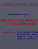 đề tài : NGHIÊN CỨU XỬ LÝ KIM LOẠI NẶNG TRONG NƯỚC NGẦM 