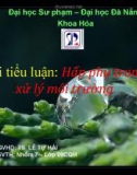 Tiểu luận: Hấp phụ trong xử lý môi trường