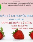 Báo cáo Quản lý tài nguyên rừng: Quy chế quản lý rừng