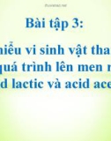 Bài thuyết trình: Tìm hiểu vi sinh vật tham gia vào quá trình lên men rượu, acid lactic và acid acetic (Bài tập 3)