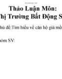 Bài thuyết trình thảo luận môn Thị trường bất động sản: Tìm hiểu về căn hộ giá mềm