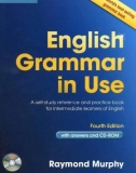 Ebook English grammar in use (4th edition): Part 1