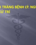 Bài thuyết trình thủng đại tràng bệnh lý: Nguyên nhân và xử trí