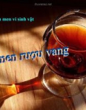 Thuyết trình Công nghệ lên men vi sinh: Lên men rượu vang