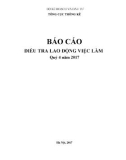 Báo cáo điều tra lao động Việt Nam