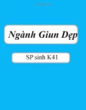 Bài thuyết trình: Ngành giun dẹp