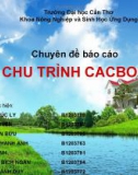 Bài thuyết trình: Chu trình Cacbon (Nhóm 1)