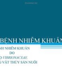 Bài thuyết trình: Bệnh nhiễm khuẩn do họ vibrionaceae ở động vật thủy sản nuôi