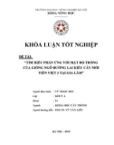 ĐỀ TÀI: 'TÌM HIỂU PHẢN ỨNG VỚI MẬT ĐỘ TRỒNG CỦA GIỐNG NGÔ ĐƯỜNG LAI KIỂU CÂY MỚI TIÊN VIỆT 3 TẠI GIA LÂM