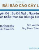 BÀI BÁO CÁO CÂY LÚA Chuyên Đề : Sự Đổ Ngã , Nguyên Nhân , Cách Khắc Phục Sự Đổ Ngã Trên Lúa