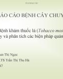 Bài báo cáo bệnh cây chuyên khoa: Bệnh khảm thuốc lá (Tobacco mosai virus) - Trình bày và phân tích các biện pháp quản lý bệnh