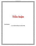 Tiểu luận: CÁC ĐIỂM NÓNG Ở CHÂU PH