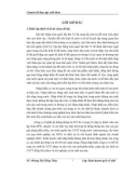 Đề tài: Một số giải pháp nhằm nâng cao hiệu quả hoạt động nhập khẩu của công ty cổ phần hệ thống thông tin FPT
