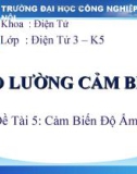 Thuyết minh: Đo lường cảm biến