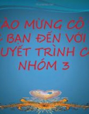 Bài thuyết trình: Tài nguyên khoáng sản Việt Nam