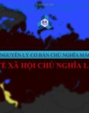 Bài thuyết trình Những nguyên lý cơ bản chủ nghĩa Mác - Lênin: Kinh tế xã hội chủ nghĩa Liên Xô