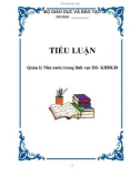 TIỂU LUẬN: Quản lý Nhà nước trong lĩnh vực DS- KHHGĐ