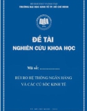 Đề tài khoa học: Rủi ro hệ thống ngân hàng và các cú sốc kinh tế