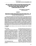 Báo cáo: Hiệu quả chủng vi khuẩn cố định đạm (Sinorhizobium freii) và hòa tan lân (Pseudomonas stutzeri) dạng lỏng đối với đậu nành trồng trên nền đất lúa ở đồng bằng Sông Cửu Long