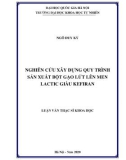 Luận văn Thạc sĩ Khoa học: Nghiên cứu xây dựng quy trình sản xuất bột gạo lứt lên men lactic giàu kefiran