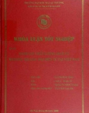 Khóa luận tốt nghiệp: Đánh giá chất lượng dịch vụ website thương mại điện tử tại Việt Nam