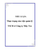 TIỂU LUẬN: Thực trạng của việc quản lý TSCĐ ở Công ty Mây Tre