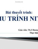 Bài thuyết trình: Chu trình Nitơ