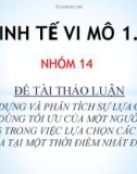 Đề tài: Xây dựng và phân tích sự lựa chọn tiêu dùng tối ưu của một người tiêu dùng trong việc lựa chọn các hàng hóa tại một thời điểm nhất định