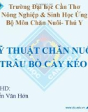 Bài Thuyết trình Chăn nuôi Thú y: Kỹ thuật chăn nuôi trâu bò cày kéo