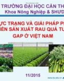 Bài thuyết trình: Thực trạng và giải pháp phát triển sản xuất rau quả tươi GAP ở Việt Nam