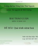 Bài thảo luận: Quá trình nitrat hóa