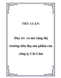 TIỂU LUẬN: Duy trì và mở rộng thị trường tiêu thụ sản phẩm của công ty Cát Lâm