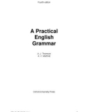 a practical english grammar