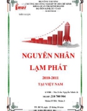 Tiểu luận: Nguyên nhân lạm phát 2010-2011 tại Việt Nam