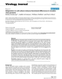 Báo cáo hóa học: Adaptation to cell culture induces functional differences in measles virus proteins