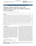 Báo cáo hóa học: Adaptive antenna selection and Tx/Rx beamforming for large-scale MIMO systems in 60 GHz channels