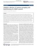 Báo cáo hóa học: Adaptive selection of antenna grouping and beamforming for MIMO systems