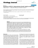 Báo cáo hóa học: Regulation of HTLV-1 Gag budding by Vps4A, Vps4B, and AIP1/Alix