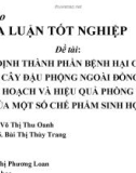 Báo cáo khóa luận tốt nghiệp: Xác định thành phần bệnh hại chính trên cây đậu phộng ngoài đồng, sau thu hoạch và hiệu quả phòng trừ của một số chế phẩm sinh học